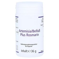 Артемизинин 150 мг капс. 60шт в Энгельсе и области фото