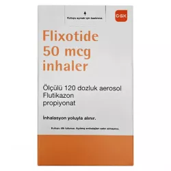 Фликсотид 50 мкг аэроз. для ингал. 120 доз фото
